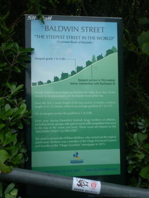 Найкрутіша вулиця у світі