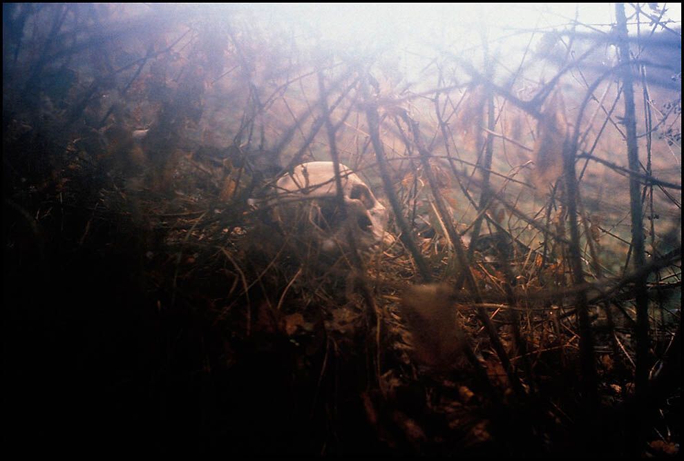 Ретроспектива: війна в Боснії