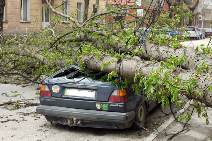В Крыму ураган валит деревья и крушит автомобили
