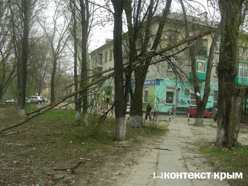 В Крыму ураган валит деревья и крушит автомобили