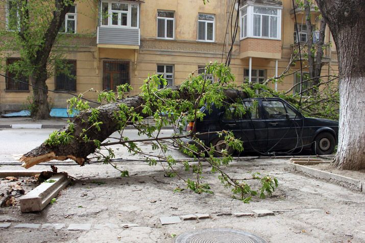 У Криму ураган валить дерева і трощить автомобілі