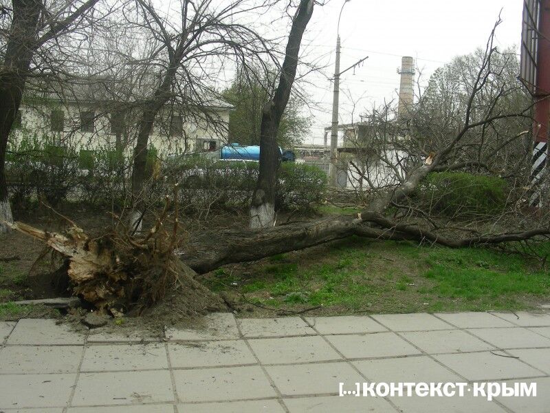 У Криму ураган валить дерева і трощить автомобілі
