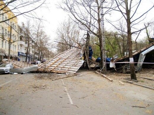 В Крыму сильный ветер валит деревья прямо на людей