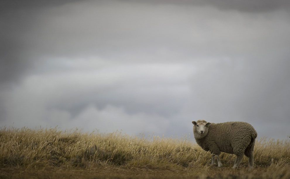 30-річна річниця Фолклендської війни