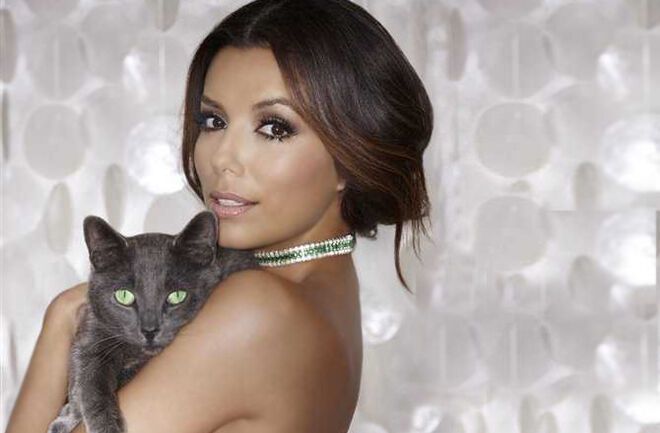 Ева Лонгория рекламирует кошачий корм. Фото. Видео