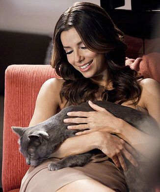 Ева Лонгория рекламирует кошачий корм. Фото. Видео