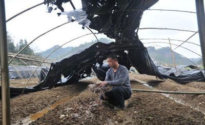 Сильний град убив 40 людей у ??Китаї