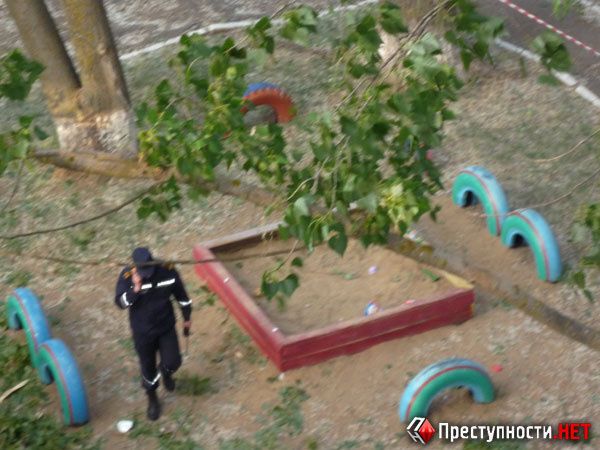 У Миколаєві на дитячий майданчик впало дерево: четверо постраждалих