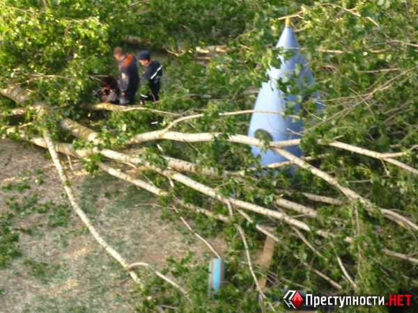 У Миколаєві на дитячий майданчик впало дерево: четверо постраждалих
