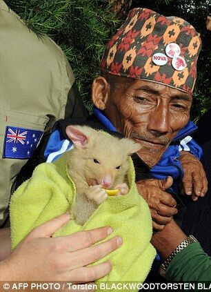 Самый маленький человек мира стал суперзвездой. Фото