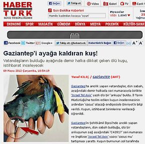 У Туреччині зловили птицю, шпигунами на Ізраїль. Фото