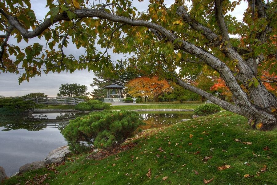 Японский сад Никка Юко. Канада.