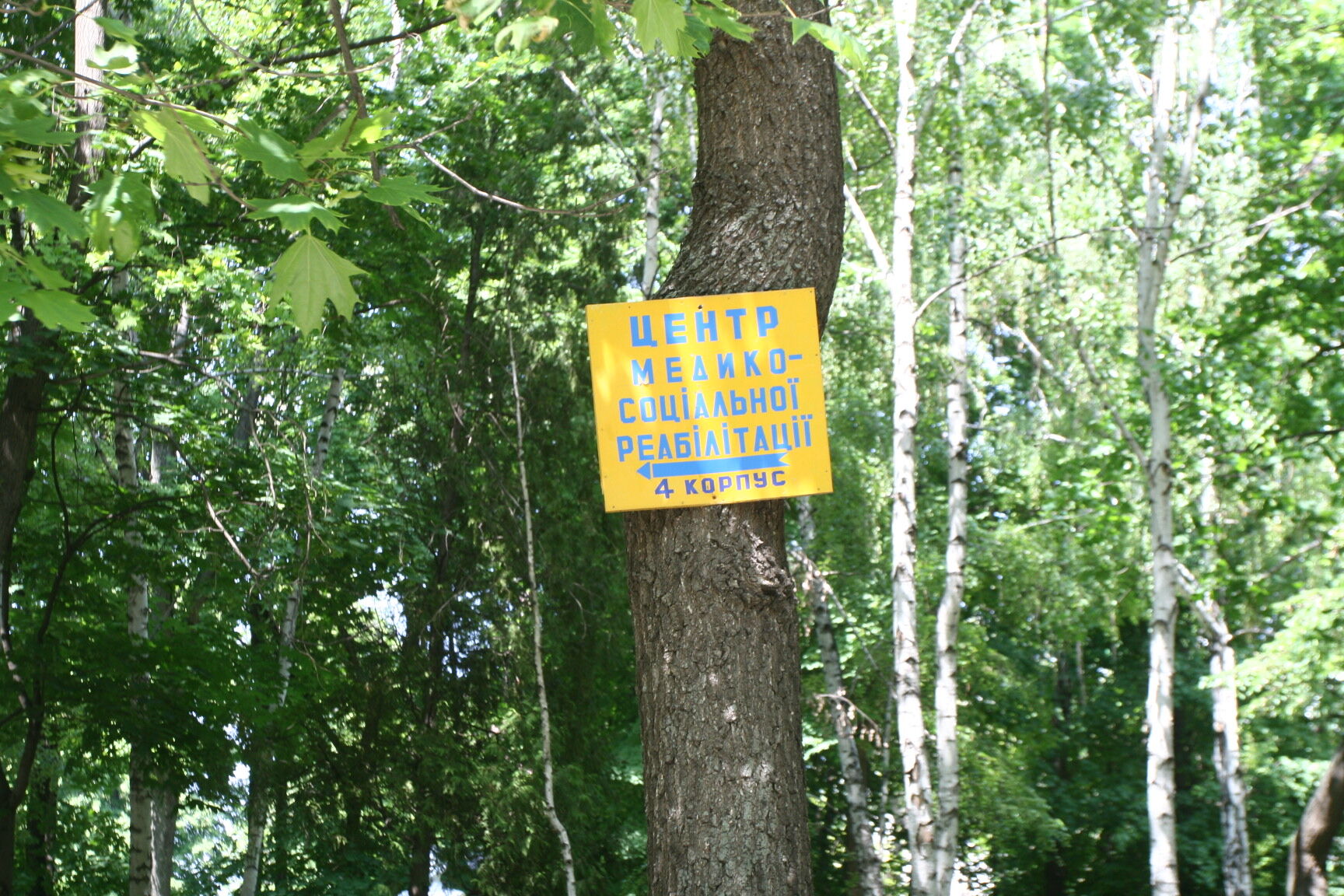 По ту сторону Павловки