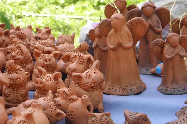 В Киеве зацвели тюльпановые поля. Фото