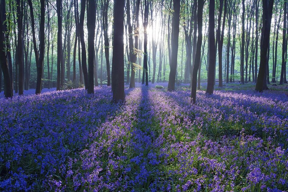 Завораживающие пейзажи