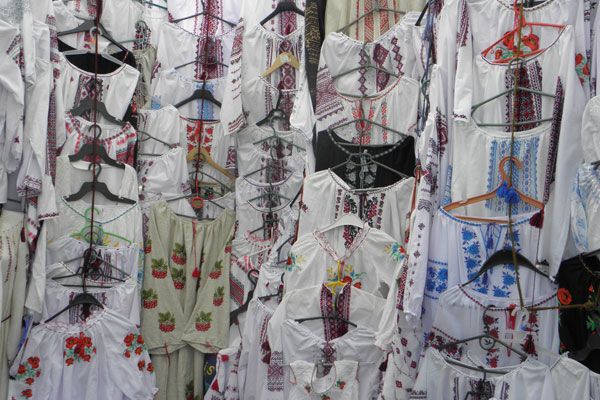 В Киеве зацвели тюльпановые поля. Фото