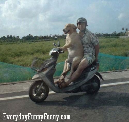 Очумелые мотоциклисты. Фото 