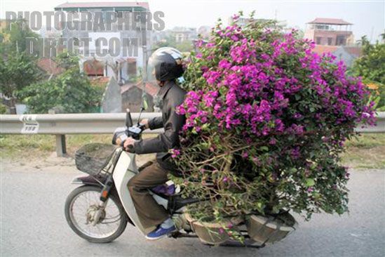 Очумелые мотоциклисты. Фото 