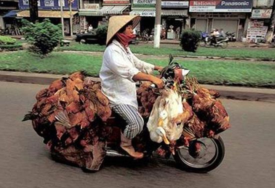 Очумелые мотоциклисты. Фото 