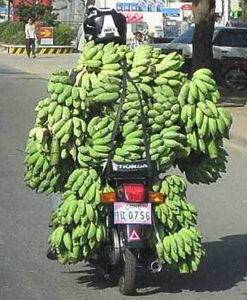 Очумелые мотоциклисты. Фото 