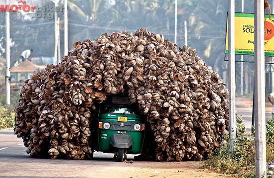 Очумелые мотоциклисты. Фото 