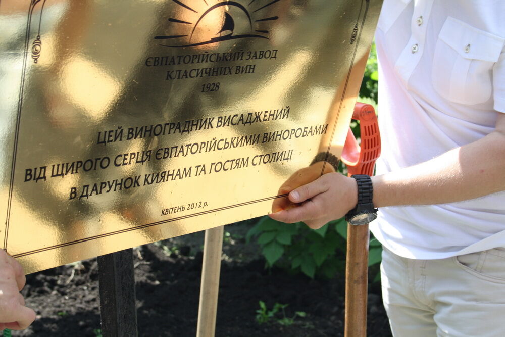 В киевском ботсаду впервые посадили виноградник