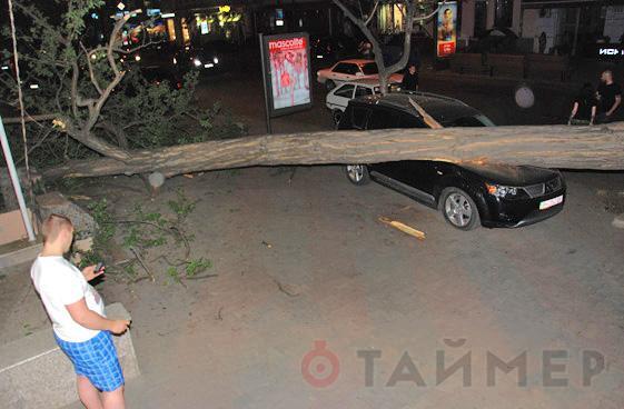 В Одессе огромное дерево упало и раздавило иномарку. Фото