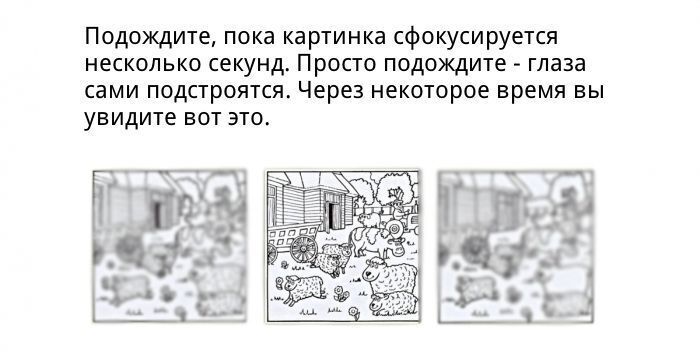 Как найти отличия в двух похожих картинках. Фото   