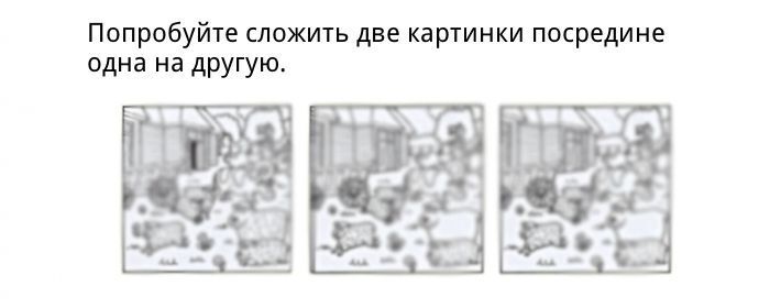 Как найти отличия в двух похожих картинках. Фото   