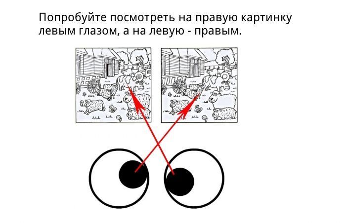 Как найти отличия в двух похожих картинках. Фото   