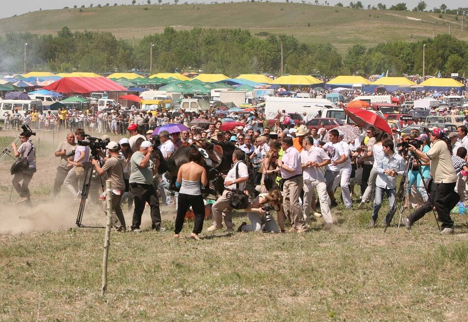 В Крыму во время скачек лошадь врезалась в толпу людей