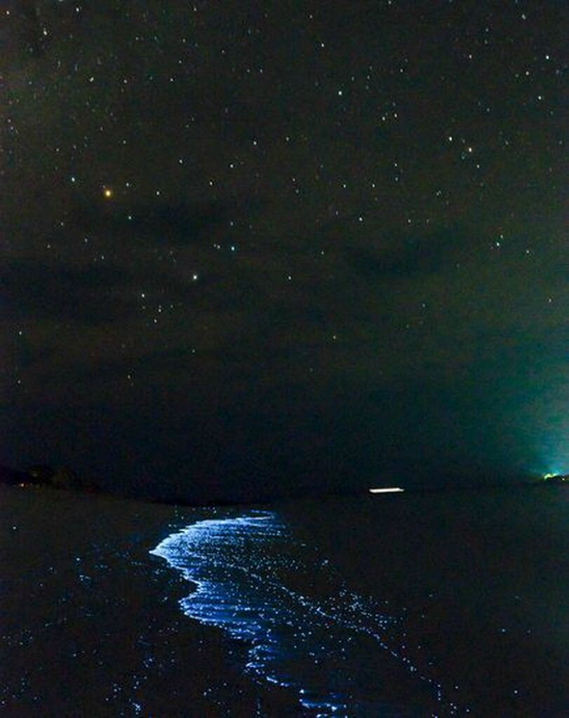 Светящийся планктон на пляже острова Ваадху
