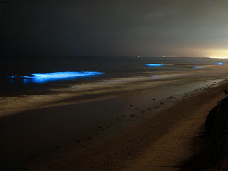 Светящийся планктон на пляже острова Ваадху
