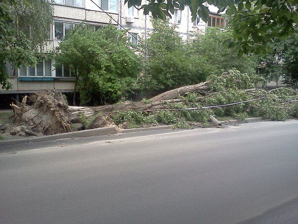 Ураганное киевское лето