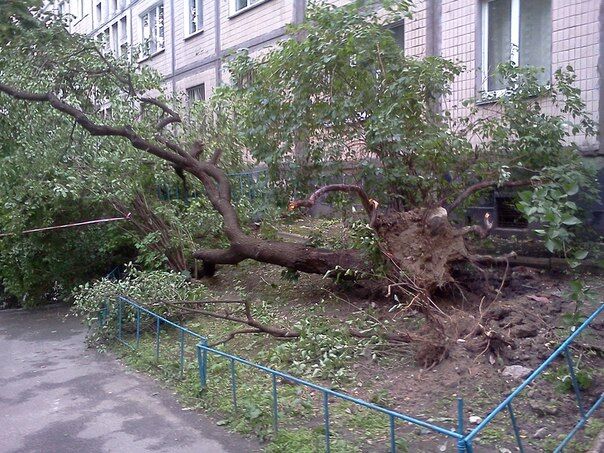 Ураганное киевское лето