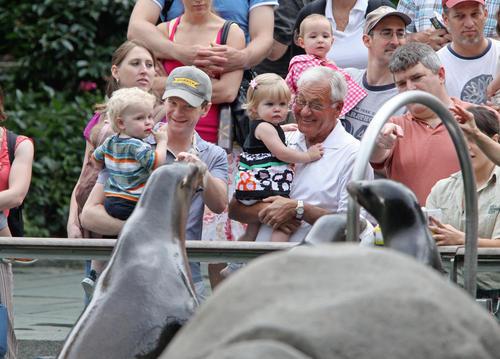 Харрис и Бартка отвели детишек в зоопарк. Фото