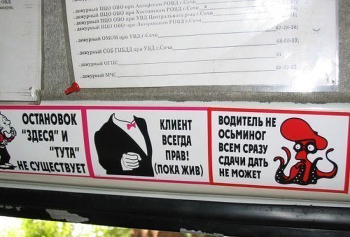 Приколы и смешные объявления в маршрутках. Фото 