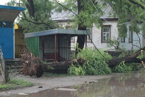 Торнадо вбив двох людей на Полтавщині. Фото. Відео