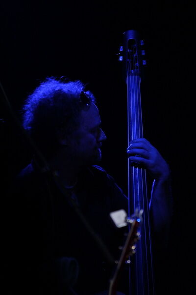 Гребенщиков представил новую программу "на коне". Фото