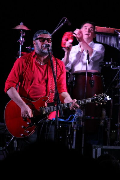 Гребенщиков представил новую программу "на коне". Фото