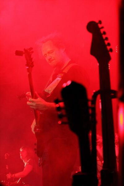 Гребенщиков представил новую программу "на коне". Фото