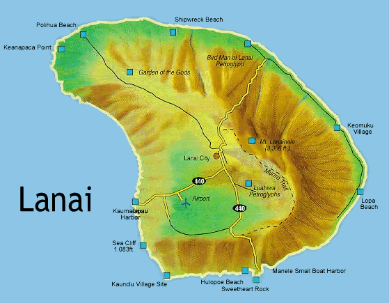 Глава крупной IT-компании купил остров на Гавайях. Фото 