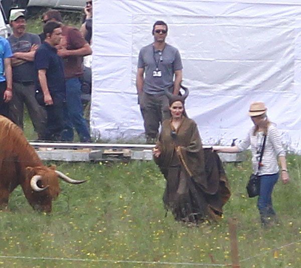 Рогатая Анджелина Джоли и быки