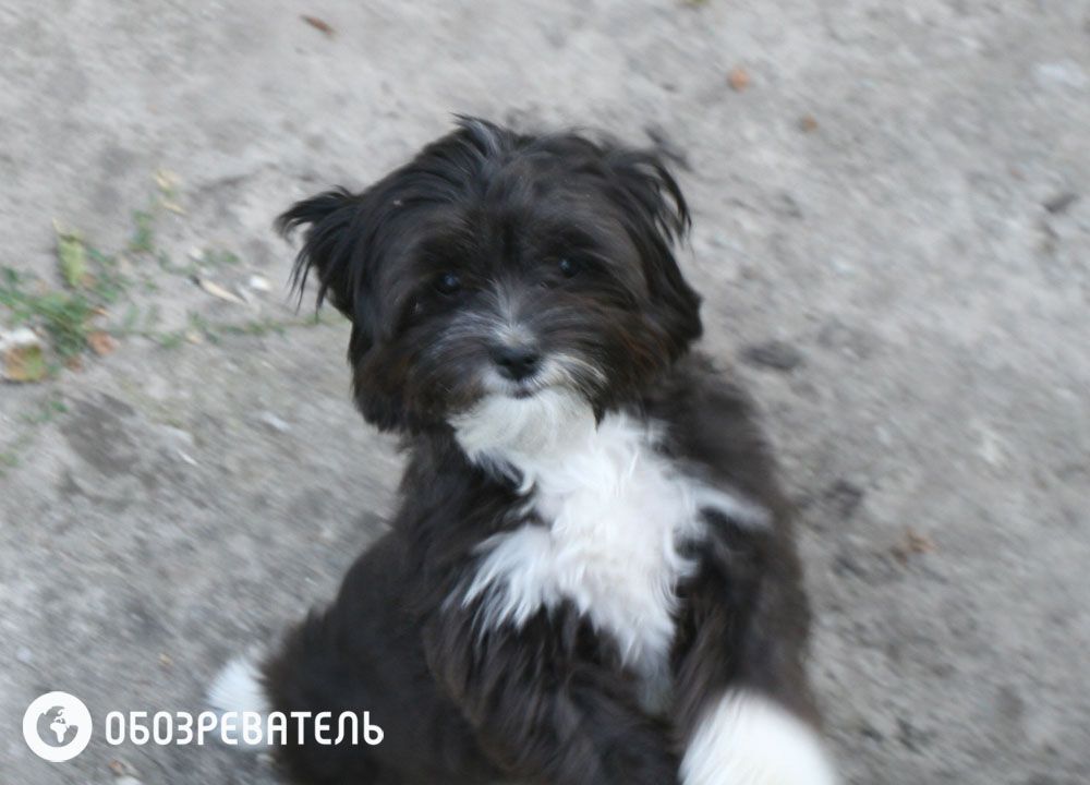 Русановские сады сегодня