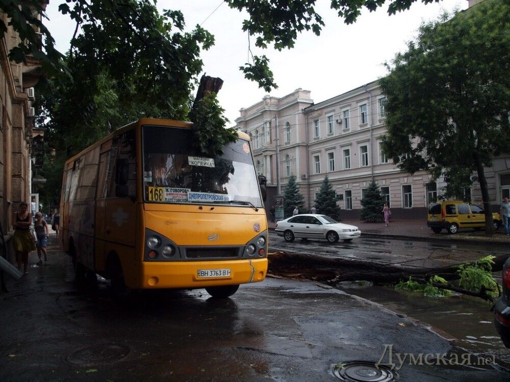 Злива в Одесі: повалені дерева та затоплення підвали