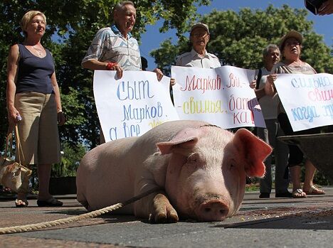 До мерії Одеси принесли свиню