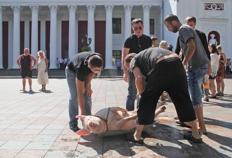 До мерії Одеси принесли свиню