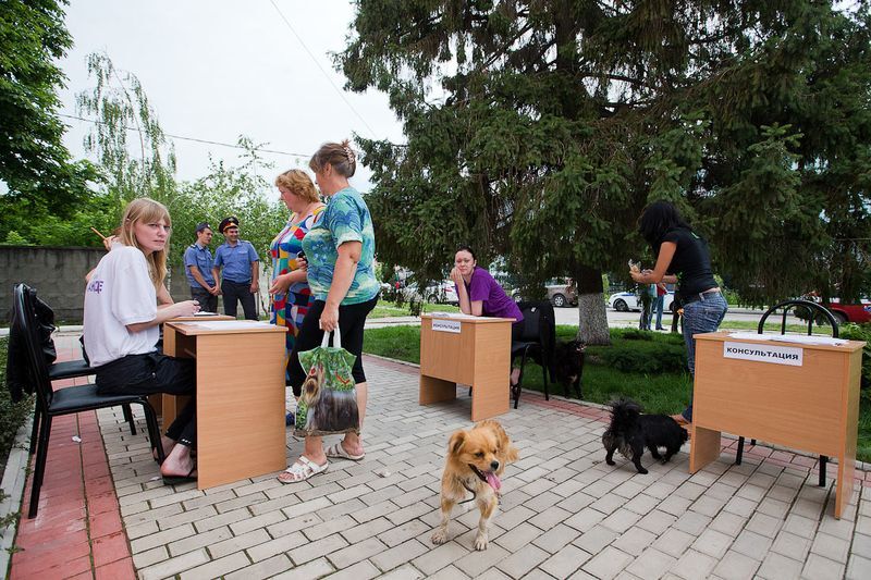 Кримськ: життя триває