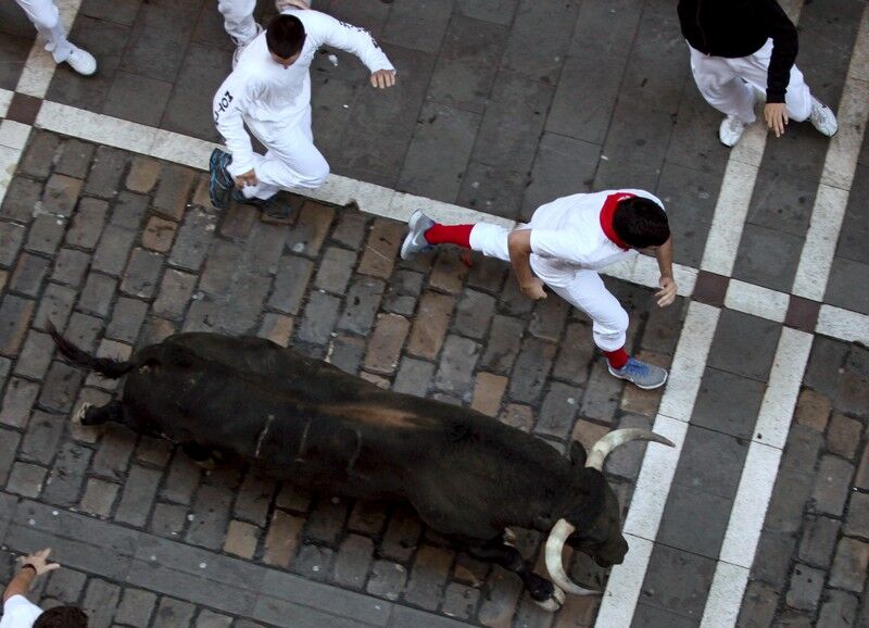 Праздничные бега быков в Испании: десятки пострадавших
