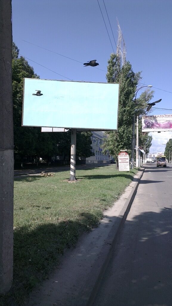 Партии "Украина - Вперед!" заклеили биллборды